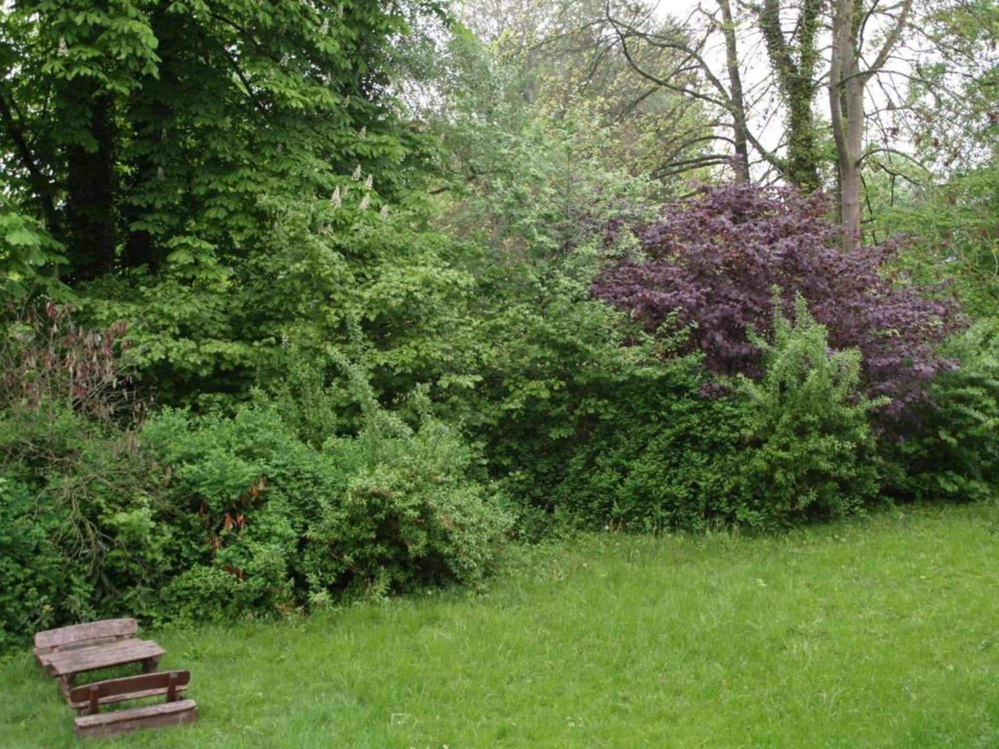 Spacious Apartment In Weser Uplands With Garden Bad Pyrmont Exterior photo